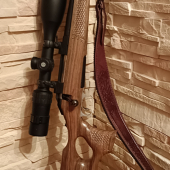 Ruger American rifle 308 win