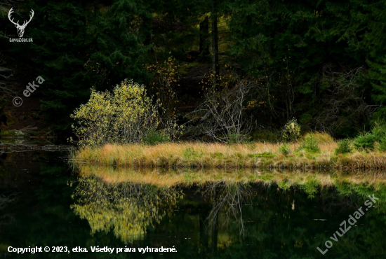 Vrbické pleso