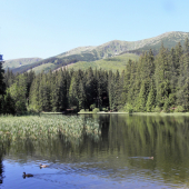 Vrbické pleso