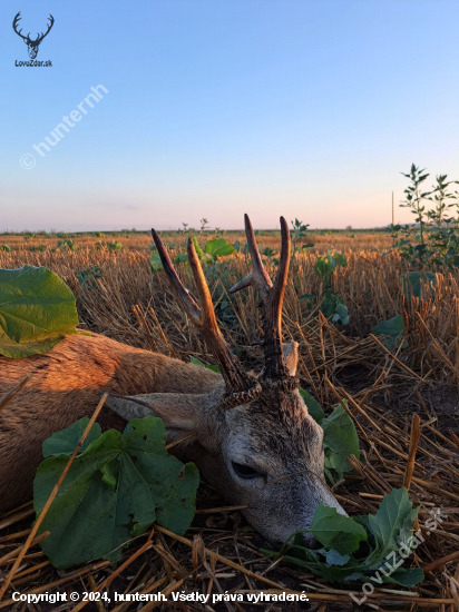 Ruja 2024 v Maďarsku