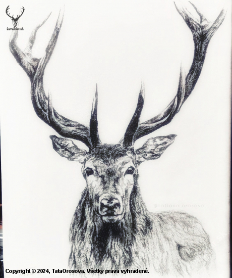 Cervus elaphus