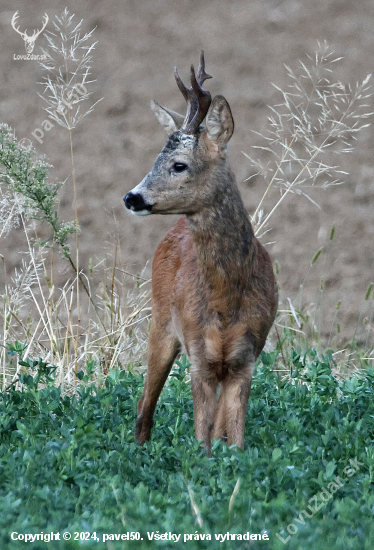 Zlomený.