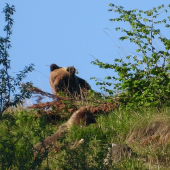 Ešte na rozlučku sa otočila.