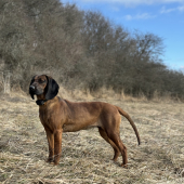 Beky Svätá Anna