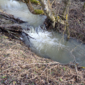 Tíško si štebotal svoju pieseň