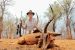 Management safari lov v Namíbii