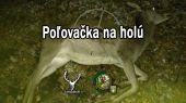 Poľovačka na holú