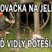 Keď vidli potešia poľovačka na jeleňa